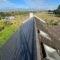 Roof Moss & Algae Treatments